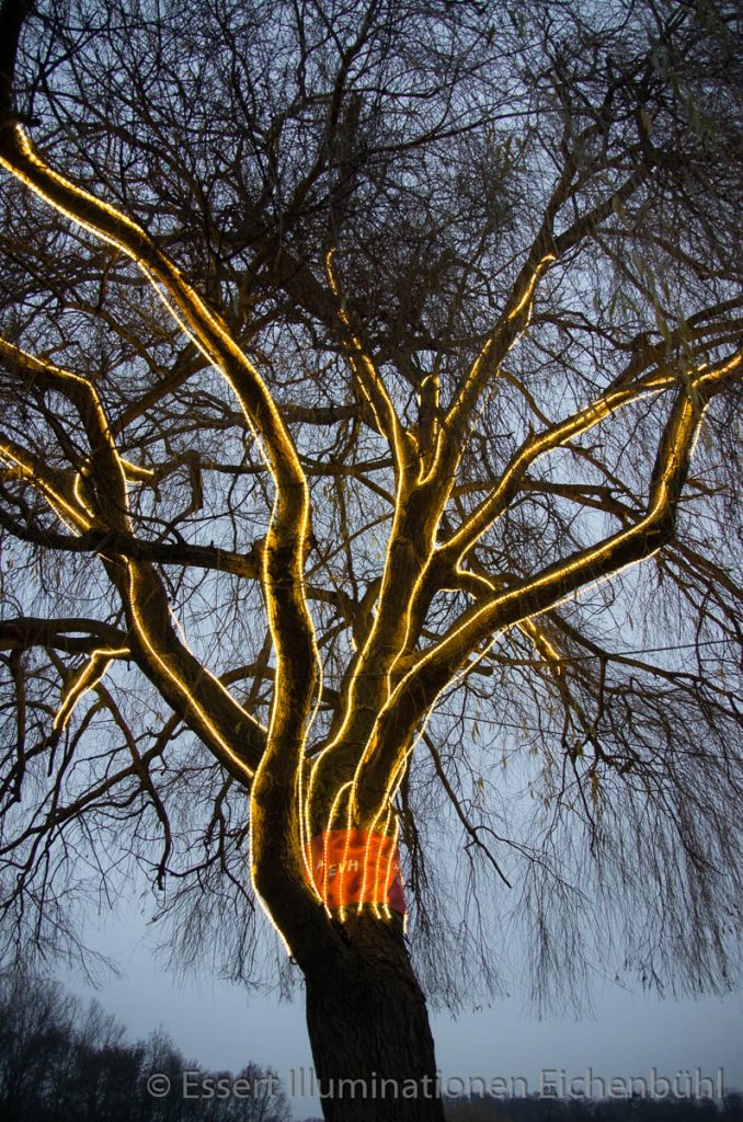 Baumbeleuchtungen Lichterschmuck