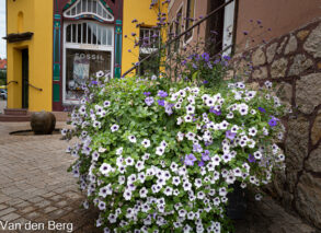 Bad Frankenhausen-10