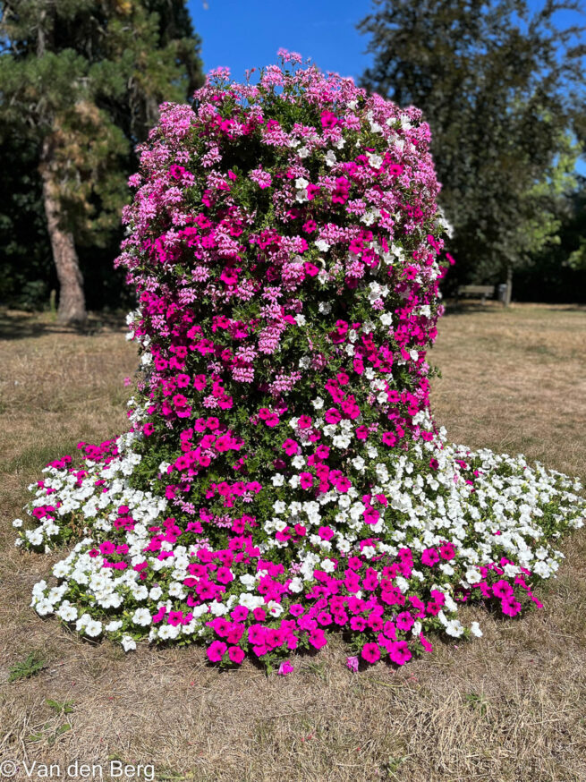 Etagenbepflanzung-10