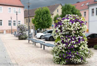 Etagenbepflanzung-4