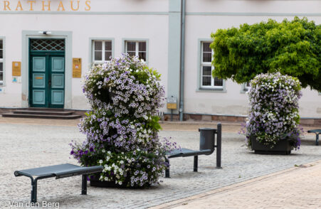 Etagenbepflanzung-5